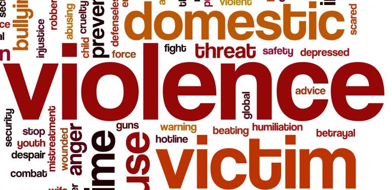 Are you a Victim of Domestic Violence or Sexual Assualt?