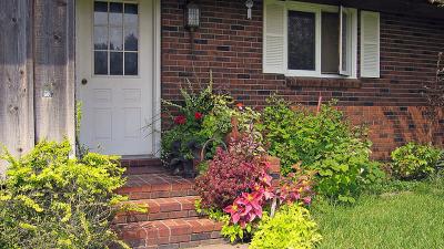 Eviction Basics Eviction Basics